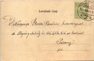 1904 Temesvár, Timisoara; Ferenc József színház / theatre (EK)