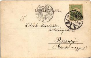 1902 Kolozsvár, Cluj; Ferenc József m. kir. tudományegyetem télen. Gibbon Albert kiadása / universit...