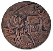 Soltra E. Tamás (1955- ) 1979. "Egry József" kétoldalas bronz emlékérem (30mm) T:AU,XF
