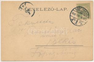 1902 Nagyvárad, Oradea; Szigligeti színház, múzeum, Royal kávéház, Kereskedelmi csarnok. Színházi Tő...