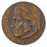 Csehszlovákia 1978. &quot;František Josef Gerstner / 150 éves a lóvasút České Budějovice és Linz között 1828-1978&quot; bronz emlékérem (60mm) T:AU Czechoslovakia 1978. &quot;František Josef Gerstner / 150 let koněspřežní železniče České Budějovice Linec 1828-1978&quot; bronze medallion (60mm) C:AU