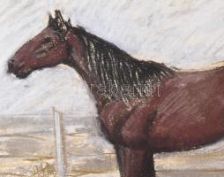 Szalay Pál (1953-2015): Paripa. Pasztell, papír. Jelzés nélkül. Hátoldalán névvel feliratozott. Pasz...