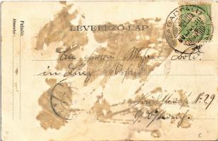 1905 Temesvár, Timisoara; Belváros, Losonczy (Dom) tér, piac, Szentháromság szobor / square, market,...