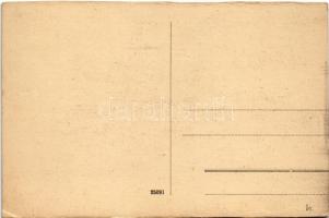 Temesvár, Timisoara; Gyárváros, Liget út / Fabrik, street