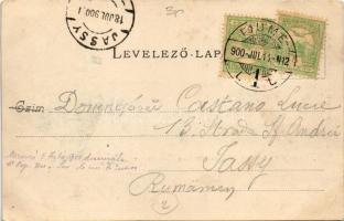 1900 Budapest I. Kilátás a várkertből. Divald Károly 53. (fl)