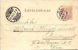 1899 (Vorläufer) Budapest XI. Ferenc József híd és a Gellérthegy, még nem épült meg a Gellért szálló...