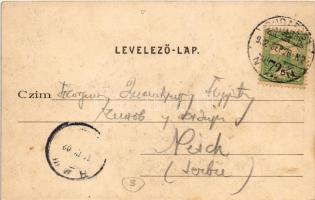 1902 Budapest V. Kossuth Lajos utca, Szénásy Béla, Szántó, Wirth J. és Fia üzlete, gyógyszertár. Div...