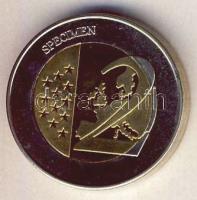 Íroroszág DN 2€ "Római szerződés" próbaveret! T:BU