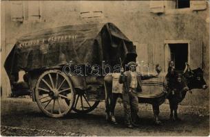 Castetnau-Camblong, attelage de boeufs Matabos a Castetnau / French oxen cart / Francia ökör szekér