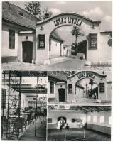 Tata, Tata-Tóváros; - 5 db MODERN város képeslap: Lovas iskola, edzőtábor (Képzőművészeti Alap)