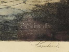 Paulovits Pál (1892-1975): Firenzei sikátor. Színezett rézkarc, papír, jelzett, üvegezett fakeretben...