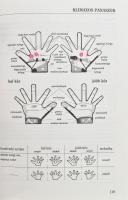 Jürgen Kaiser, Alexander Scharmann, Beate Poyck-Scharmann: A kéz reflexmasszázsa. Hatásos fájdalomcs...