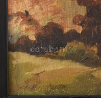 Olvashatatlan jelzéssel, XX. sz. első fele: Hegyvidéki ház. Olaj, karton. Dekoratív, kissé sérült ré...