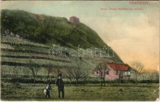 1909 Királyháza, Koroleve; Várhegy, Hegyi Dezső borháza és szőlője. Görög J. kiadása / wine cellar and vineyards (EB)