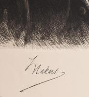 Wilhelm Hecht (1843-1920): Hans Makart osztrák festő portréja. Rézkarc, papír, jelzett a dúcon, 24x1...