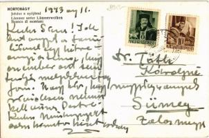 1943 Hortobágy, Juhász a nyájával. Foto Aszmann Ferenc, photo