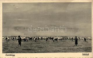 Hortobágy délibáb