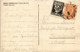 Alváca-gyógyfürdő, Vata de Jos; Baile minerale, vedere din parc / fürdő park, csoportkép / spa garde...