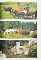 Váradi Péter Pál - Lőwey Lilla: Erdély - Székelyföld. Homoródi - dombság. A szerzők, Váradi Péter Pá...