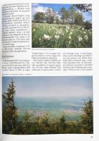 Váradi Péter Pál - Lőwey Lilla: Erdély - Székelyföld. Homoródi - dombság. A szerzők, Váradi Péter Pá...