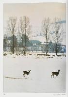 Váradi Péter Pál - Lőwey Lilla: Erdély - Székelyföld. Homoródi - dombság. A szerzők, Váradi Péter Pá...