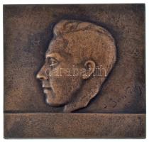 Bán Pál (1892-?) 1921. Balra néző férfi portré egyoldalas bronz plakett, modern öntés? (99x98mm) C:XF