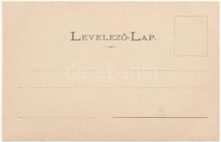 Felsővisó, Viseu de Sus; kaszinó, Állami iskola, Papp-féle villa, kastély. Kaufman Ábrahám kiadása /...