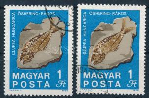 1969 Földtani Intézet 1Ft alul fekete színnyomat nélkül + támpéldány