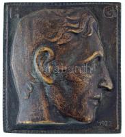 Szentesy Hiesz Géza (1896-1975) 1922. &quot;Jobbra néző férfi portré&quot; egyoldalas bronz plakett. Szig.: &quot;HG&quot; (103x114mm) C:XF