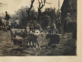 Olvashatatlan jelzéssel: Kisborjúk. Rézkarc, papír, jelzett, 23×33 cm, üvegezett fakeretben