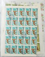 170 db hajtott teljes ív, mappában