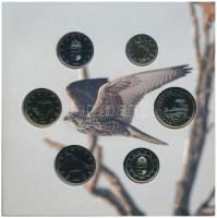 2020. 5Ft-200Ft (6xklf) "Kerecsensólyom" forgalmi sor dísztokban T:BU 
Adamo FO54