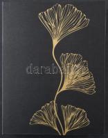 Kb. 200 db MODERN magyar város képeslap albumban, főleg az 1950-es évekből / Cca. 200 MODERN Hungari...