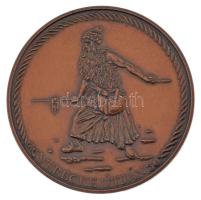 DN "Árpád vezér - Feszty körkép Ópusztaszer / Verecke útján" bronz emlékérem műanyag díszt...