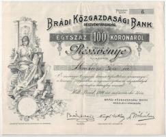 Brád 1910. Brádi Közgazdasági Bank Részvénytársaság névre szóló részvénye 100K-ról, szelvényekkel, szárazpecséttel T:XF,VF