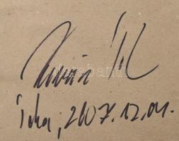 Tokaj hétszőlő szőlőbirtok régi metszet másolata, üvegezett keretben 33x20 cm Külső méret 44x33 cm