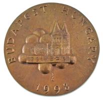 Szabó György (1947-) DN Budapest Hungary - 1998 - 25th EPS egyoldalas bronz emlékérem (100mm) T:AU