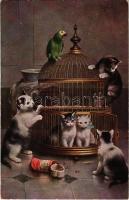 Cats and parrot. Raphael Tuck &amp; Sons&#039; &quot;Oilette&quot; Postcard No. 8657. &quot;Playful cats&quot; s: Reichert (EK)