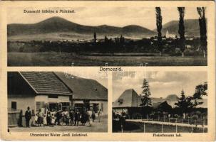 1932 Domoszló, látkép a Mátrával, Fleischmann lak, kastély, villa, Weisz Jenő üzlete és saját kiadása