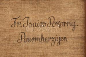 Jelzés nélkül, feltehetően XIX. sz. festő: Istenes Szent János. Olaj, vászon. Restaurált. Hátoldalán...