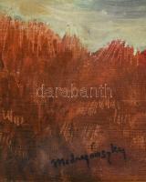 Mednyánszky jelzéssel: Táj. Olaj, vászon, kartonon. Fakeretben. 41,5×33 cm