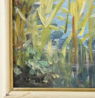 Vass E jelzéssel: Nádas. Olaj, vászon. Fakeretben. 40×30 cm