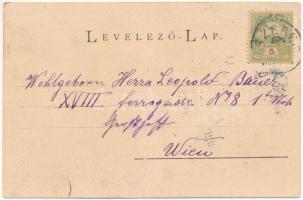 Szered, Vág-Szered, Vágszered, Sered; Weisz Mihály üzlete, gyógyszertár. Szold Jakab saját felvétele...