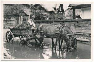 Csík megye, itató székely. Andory Aladics Zoltán mérnök felvétele / Comitatul Ciuc, Transylvanian folklore