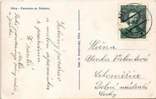 1938 Nyitra, Nitra; Panorama so Zoborem / látkép / general view (fa)