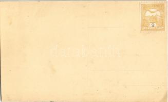 ~1910 Pozsony, Pressburg, Bratislava; vár. Kézzel festett / castle. hand-painted (fl)