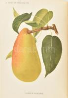 1902 Mauthner Ödön: A kert. A kertészet összes ágait magába foglaló szaklap VIII. évf. 2. félév. 13,...