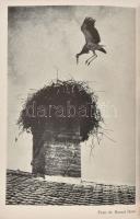 Hevesy Iván: Fényképezés falun. Mezőn, pusztán, vásáron. Népszokások, népviselet, népművészet fényké...