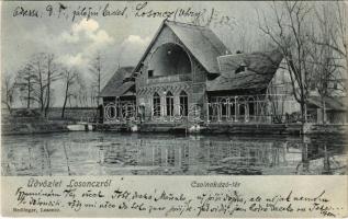 1905 Losonc, Lucenec; Csónakázó tér és tó. Redlinger kiadása / lake (EK)