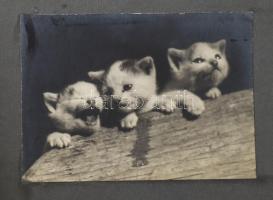 1936-1942 Viktor Emánuel Budapesten, erdélyi, kárpátaljai bevonulás, munkaszolgálatosok, budapesti é...